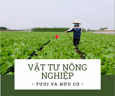 Top 5 phần mềm quản lý bán vật tư nông nghiệp nhiều người dùng nhất hiện nay