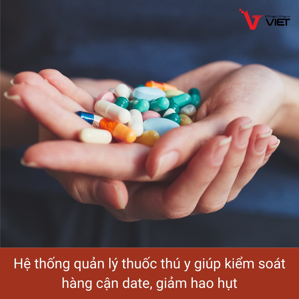 Hệ thống quản lý thuốc thú y kiểm soát hàng cận date và tồn kho