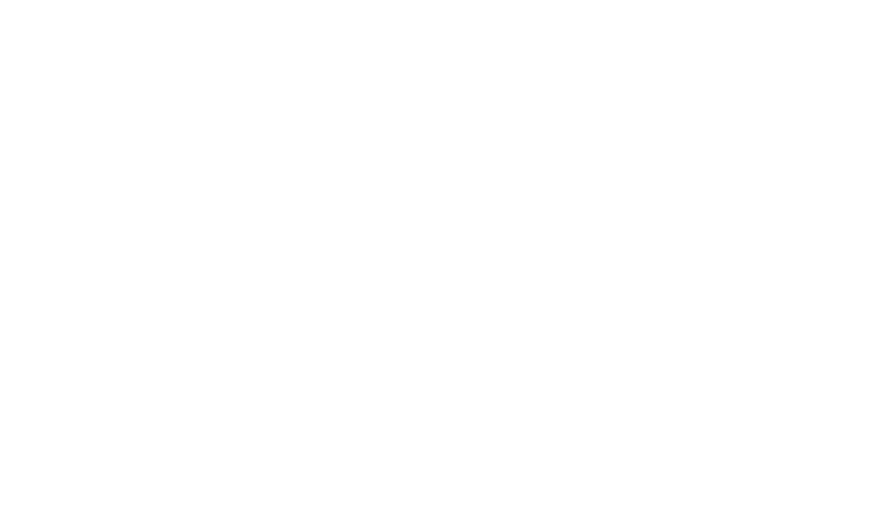 cam kết 100% dự án thành công