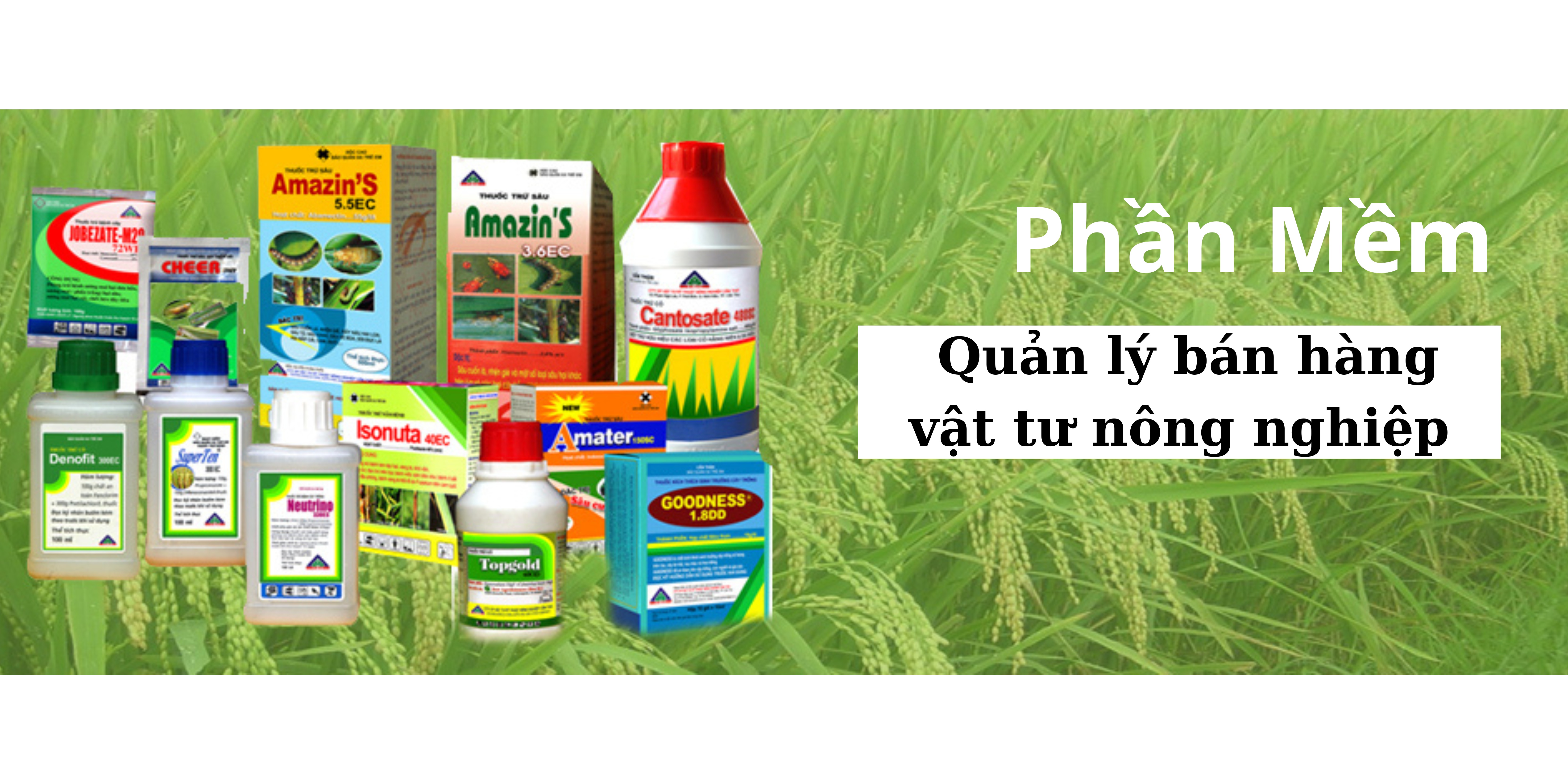 Phần Mềm