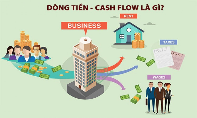 Dòng tiền là gì? Vai trò và cách quản lý dòng tiền